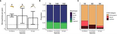 Zoop to poop: assessment of microparticle loads in gray whale zooplankton prey and fecal matter reveal high daily consumption rates